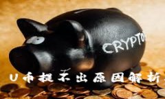  TPWallet U币提不出原因解析