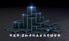 万龙华：虚拟币的未来与市场分析