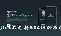 电脑版TPWallet不支持BSC链的原因及解决方案