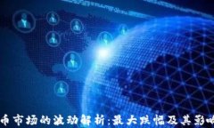 虚拟币市场的波动解析：最大跌幅及其影响因素