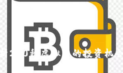 全面解析200种虚拟币的投资机会与风险