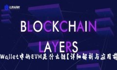 TPWallet中的EVM是什么链？详细解析与应用前景