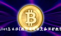 不小心删除TPWallet怎么办？教你有效恢复和保护数
