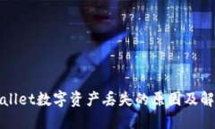 : TPWallet数字资产丢失的原因及解决方法