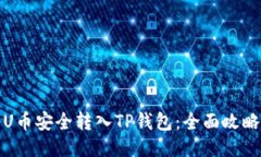 如何将U币安全转入TP钱包：全面攻略与技巧
