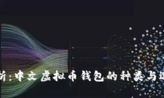 全面解析：中文虚拟币钱包的种类与选择指南