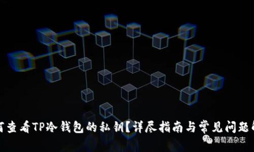如何查看TP冷钱包的私钥？详尽指南与常见问题解答